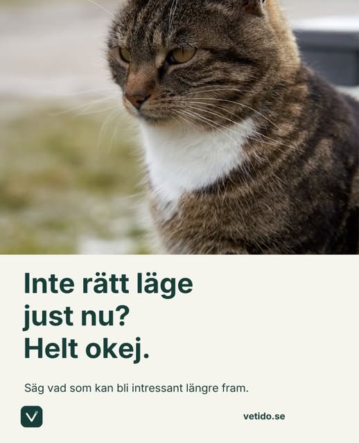 Inlägg från Vetido på Instagram